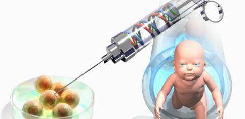 花胶补充胶原蛋白提高试管婴儿成功率研究